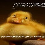 دانلود آهنگ بازم اشکای چشمام مثل آب روونه از هایده